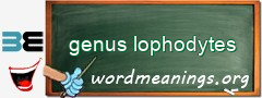 WordMeaning blackboard for genus lophodytes